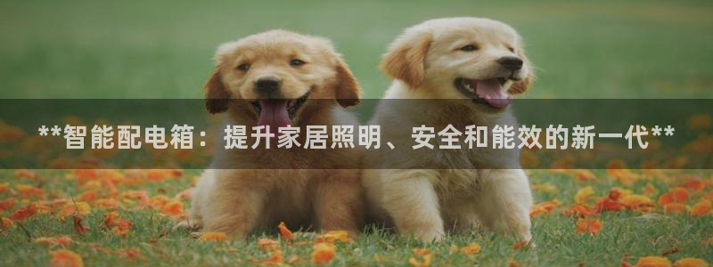 云顶集团介绍
