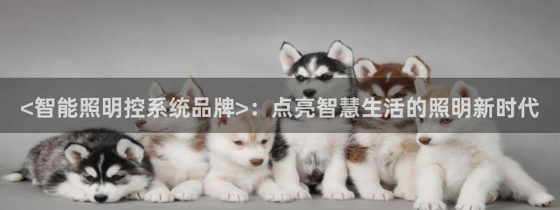云顶集团网投领头