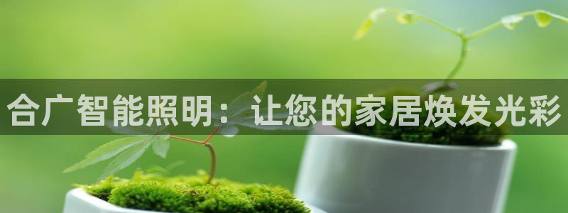 云顶2021
