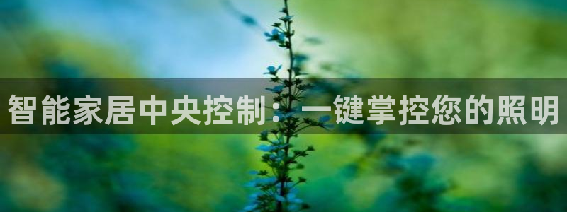 云顶国际服汉化