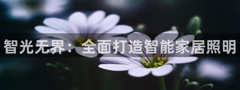 云顶集团公司董事长是谁