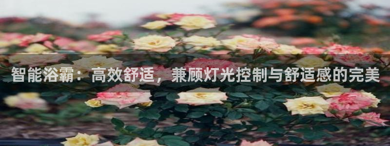 云顶国际城手机网址