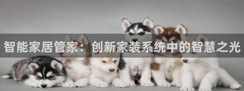 云顶官方