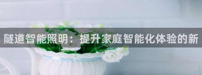云顶集团老板是谁