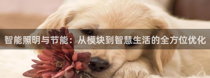 云顶国际公馆房价