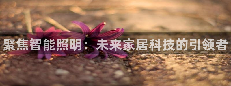 云顶国际是个什么平台