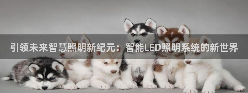 yd12300云顶线路(中国)有限公司