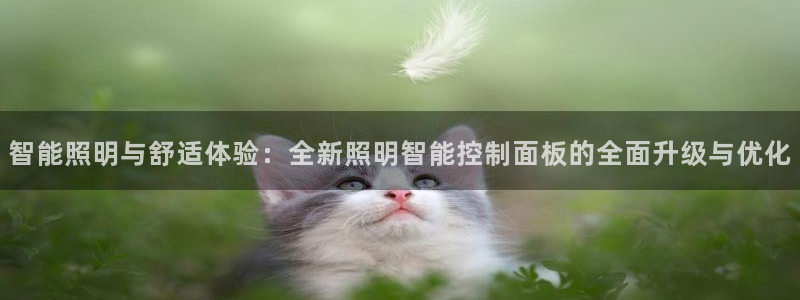 云顶国际平台游戏可靠吗安全吗：智能照明与