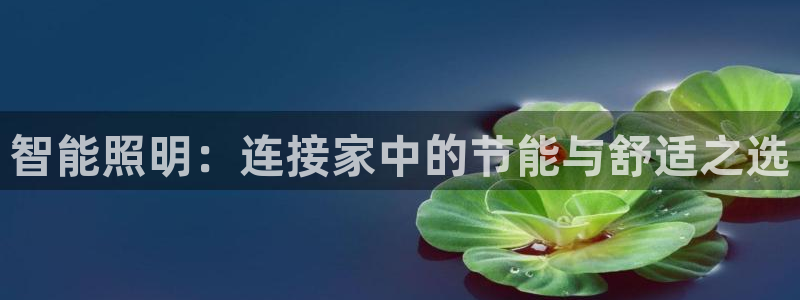 云顶国际黑网不出款怎么办