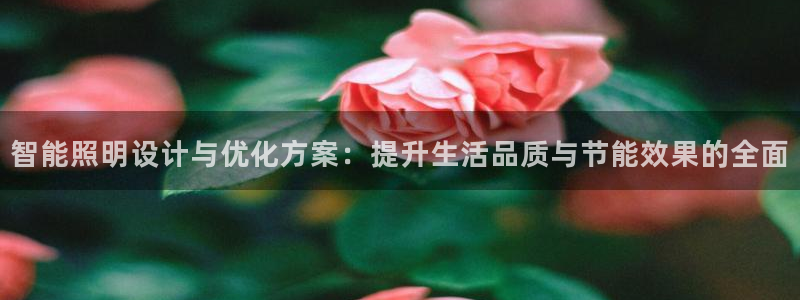 云顶国际集团 深圳