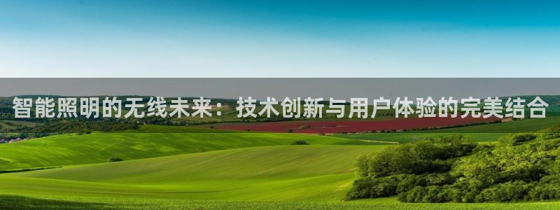 云顶集团有限公司简介资料