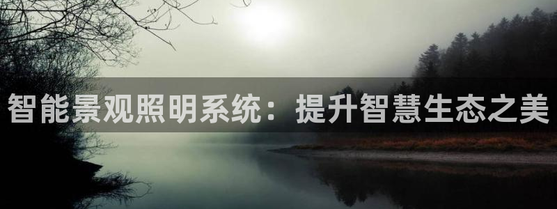 云顶集团网投领跑者