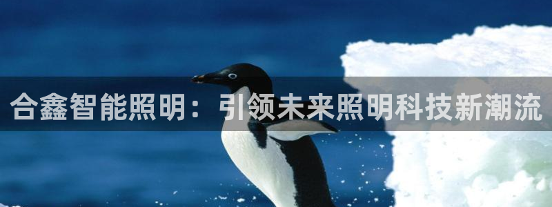 云顶国际软装公司怎么样啊