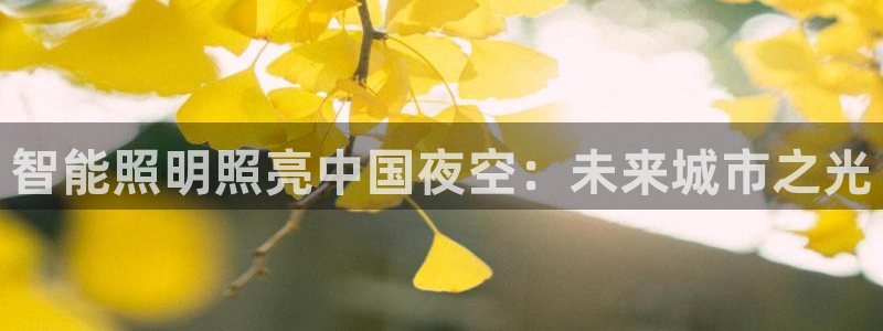 云顶国际服哪个服人多