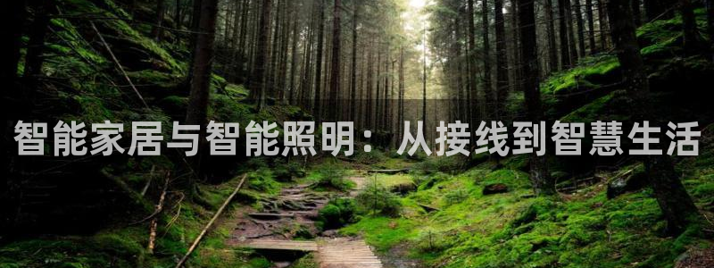 云顶国际官网官方下载