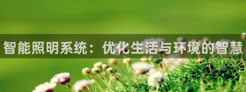 云顶国际高中d s e班学费多少