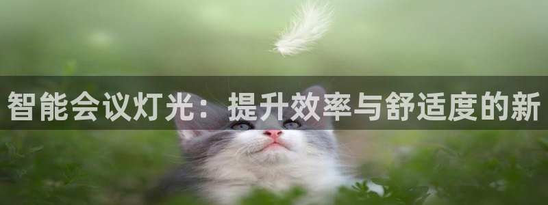 云顶集团进入官网：智能会议灯光：提升效率