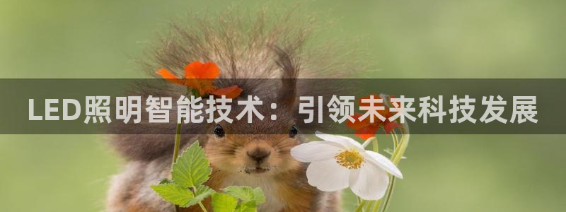 云顶集团介绍：LED照明智能技术：引领未