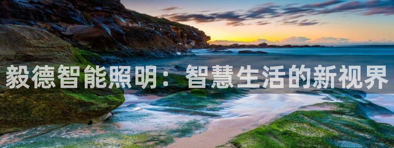 云顶国际A405：毅德智能照明：智慧生活