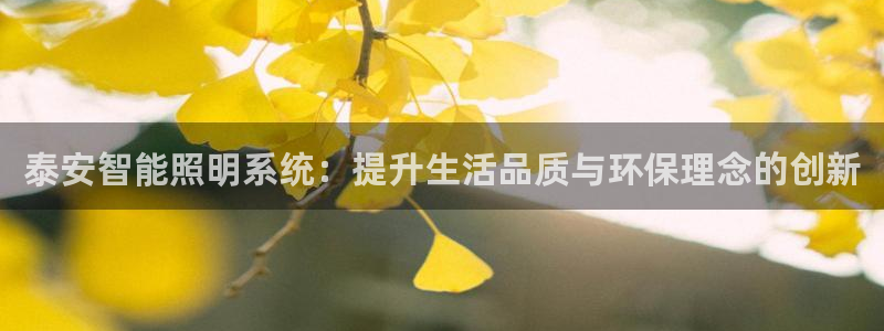 云顶国际是合法的吗：泰安智能照明系统：提